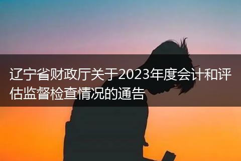 遼寧省財政廳關(guān)于2023年度會計和評估監(jiān)督檢查情況的通告