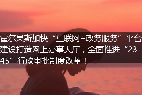 霍爾果斯加快“互聯(lián)網(wǎng)+政務(wù)服務(wù)”平臺建設(shè)打造網(wǎng)上辦事大廳，全面推進(jìn)“2345”行政審批制度改革！