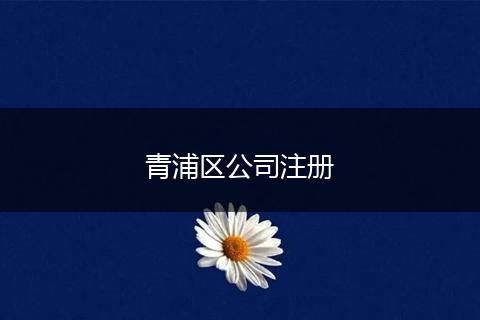 青浦區(qū)公司注冊(cè)
