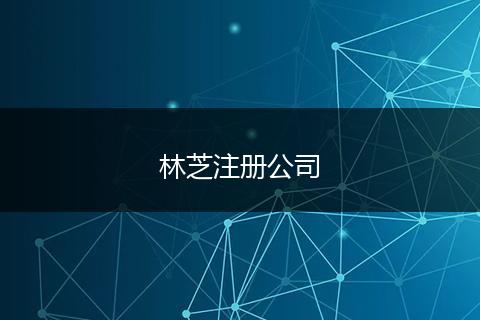 林芝注冊公司