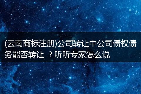 (云南商標(biāo)注冊)公司轉(zhuǎn)讓中公司債權(quán)債務(wù)能否轉(zhuǎn)讓 ？聽聽專家怎么說