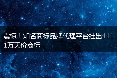震驚！知名商標品牌代理平臺掛出1111萬天價商標