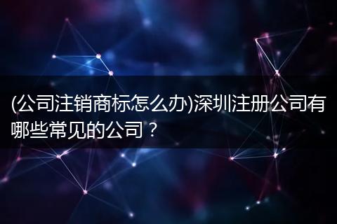 (公司注銷商標(biāo)怎么辦)深圳注冊公司有哪些常見的公司？