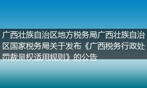廣西壯族自治區(qū)地方稅務(wù)局廣西壯族自治區(qū)國(guó)家稅務(wù)局關(guān)于發(fā)布《廣西稅務(wù)行政處罰裁量權(quán)適用規(guī)則》的公告
