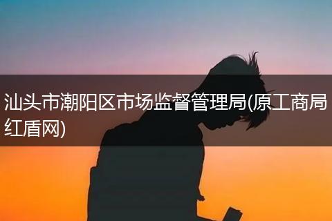 汕頭市潮陽區(qū)市場監(jiān)督管理局(原工商局紅盾網(wǎng))