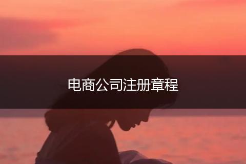 電商公司注冊(cè)章程
