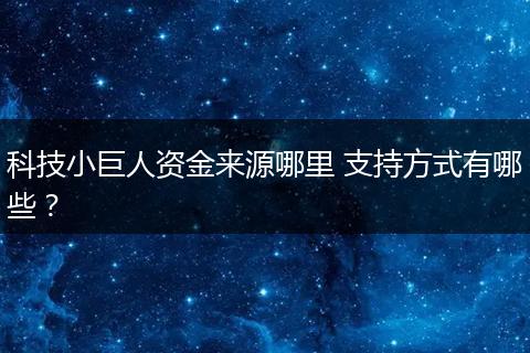 科技小巨人資金來源哪里 支持方式有哪些？