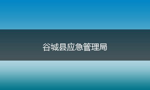 谷城縣應(yīng)急管理局