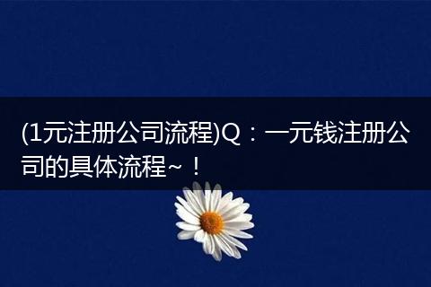 (1元注冊公司流程)Q：一元錢注冊公司的具體流程~！