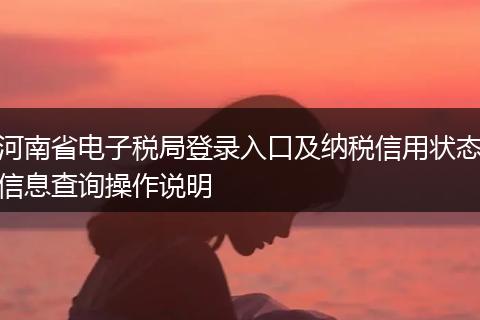 河南省電子稅局登錄入口及納稅信用狀態(tài)信息查詢操作說明