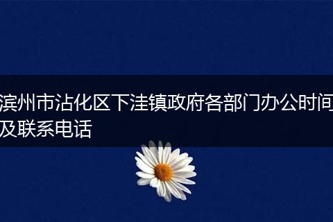 濱州市沾化區(qū)下洼鎮(zhèn)政府各部門辦公時間及聯(lián)系電話
