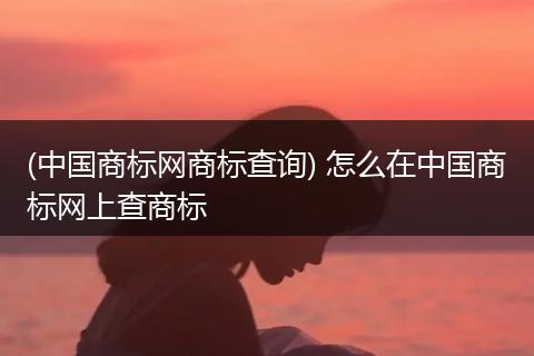 (中國(guó)商標(biāo)網(wǎng)商標(biāo)查詢) 怎么在中國(guó)商標(biāo)網(wǎng)上查商標(biāo)