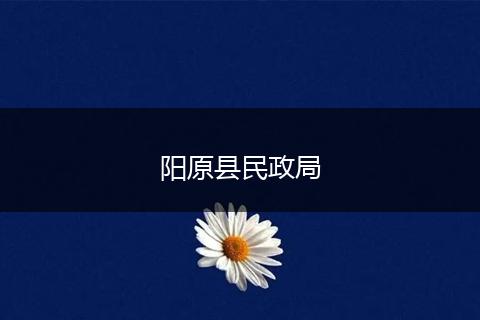 陽原縣民政局