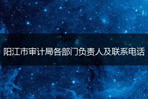 陽(yáng)江市審計(jì)局各部門(mén)負(fù)責(zé)人及聯(lián)系電話(huà)