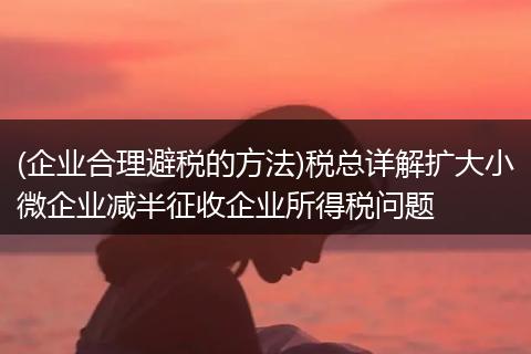 (企業(yè)合理避稅的方法)稅總詳解擴(kuò)大小微企業(yè)減半征收企業(yè)所得稅問題
