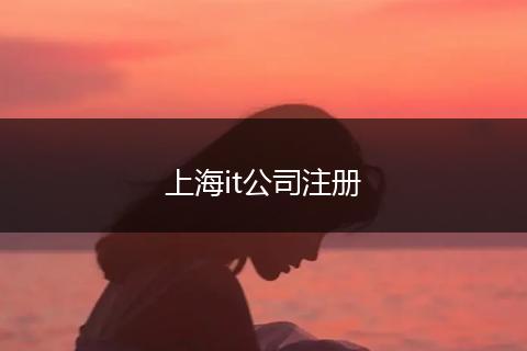 上海it公司注冊