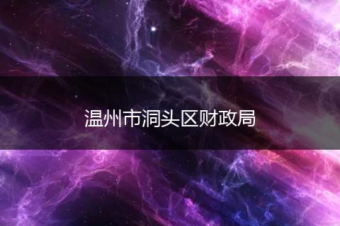 溫州市洞頭區(qū)財(cái)政局