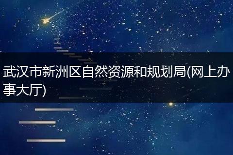 武漢市新洲區(qū)自然資源和規(guī)劃局(網上辦事大廳)