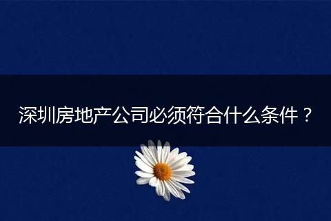 深圳房地產(chǎn)公司必須符合什么條件？