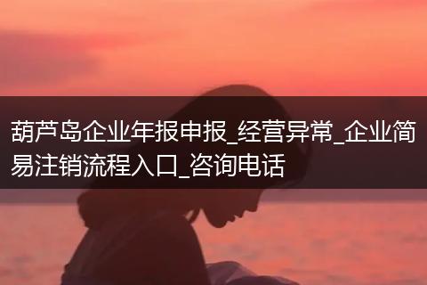 葫蘆島企業(yè)年報申報_經(jīng)營異常_企業(yè)簡易注銷流程入口_咨詢電話