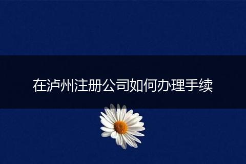 在瀘州注冊公司如何辦理手續(xù)