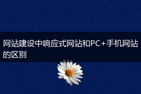 網(wǎng)站建設(shè)中響應(yīng)式網(wǎng)站和PC+手機網(wǎng)站的區(qū)別