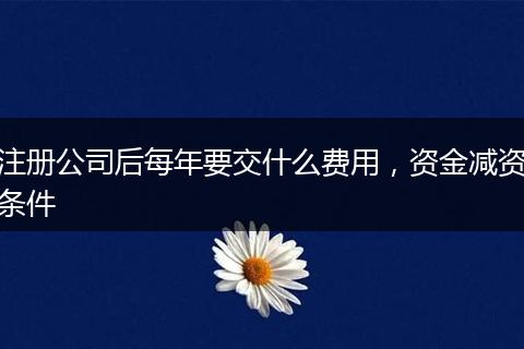注冊公司后每年要交什么費用，資金減資條件
