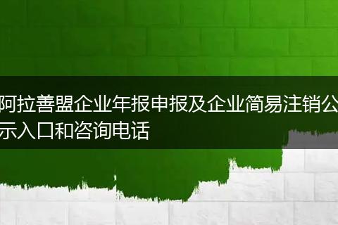 阿拉善盟企業(yè)年報申報及企業(yè)簡易注銷公示入口和咨詢電話
