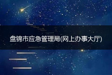 盤錦市應(yīng)急管理局(網(wǎng)上辦事大廳)