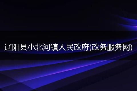 遼陽縣小北河鎮(zhèn)人民政府(政務服務網(wǎng))