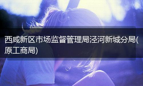 西咸新區(qū)市場(chǎng)監(jiān)督管理局涇河新城分局(原工商局)