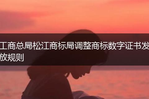 工商總局松江商標(biāo)局調(diào)整商標(biāo)數(shù)字證書(shū)發(fā)放規(guī)則
