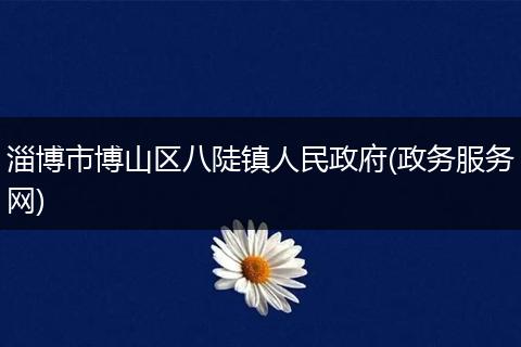 淄博市博山區(qū)八陡鎮(zhèn)人民政府(政務(wù)服務(wù)網(wǎng))