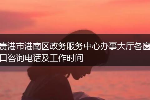 貴港市港南區(qū)政務(wù)服務(wù)中心辦事大廳各窗口咨詢電話及工作時(shí)間