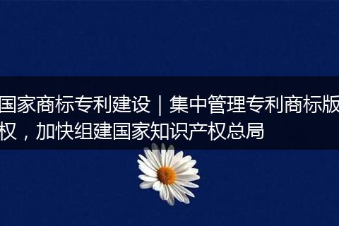 國家商標(biāo)專利建設(shè)|集中管理專利商標(biāo)版權(quán),加快組建國家知識產(chǎn)權(quán)總局