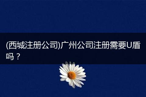 (西城注冊(cè)公司)廣州公司注冊(cè)需要U盾嗎？
