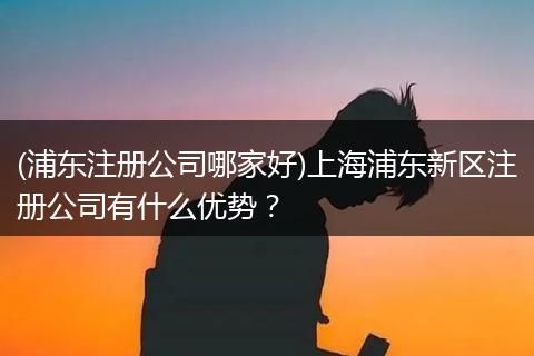 (浦東注冊公司哪家好)上海浦東新區(qū)注冊公司有什么優(yōu)勢？