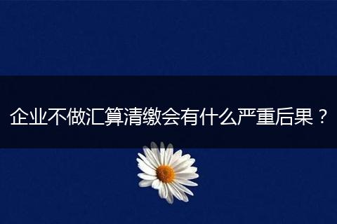 企業(yè)不做匯算清繳會有什么嚴(yán)重后果？