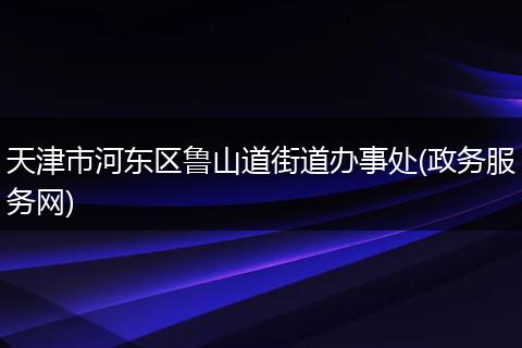 天津市河東區(qū)魯山道街道辦事處(政務服務網(wǎng))