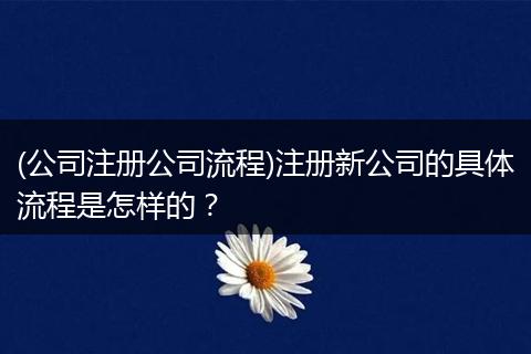 (公司注冊(cè)公司流程)注冊(cè)新公司的具體流程是怎樣的？
