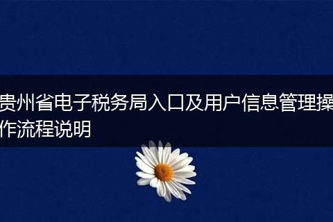 貴州省電子稅務局入口及用戶信息管理操作流程說明