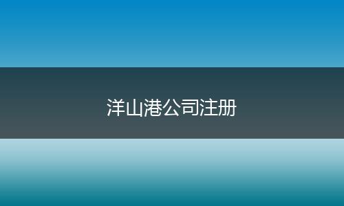 洋山港公司注冊
