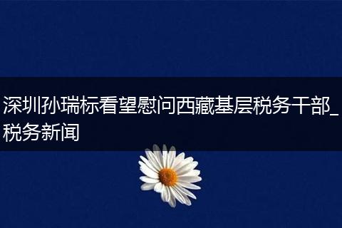 深圳孫瑞標(biāo)看望慰問(wèn)西藏基層稅務(wù)干部_稅務(wù)新聞