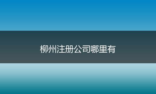柳州注冊(cè)公司哪里有