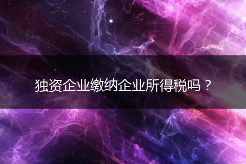 獨(dú)資企業(yè)繳納企業(yè)所得稅嗎？