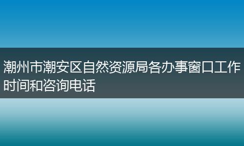 潮州市潮安區(qū)自然資源局各辦事窗口工作時(shí)間和咨詢電話