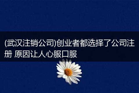 (武漢注銷公司)創(chuàng)業(yè)者都選擇了公司注冊 原因讓人心服口服