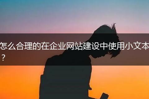 怎么合理的在企業(yè)網(wǎng)站建設(shè)中使用小文本？
