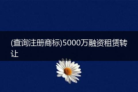 (查詢注冊商標(biāo))5000萬融資租賃轉(zhuǎn)讓