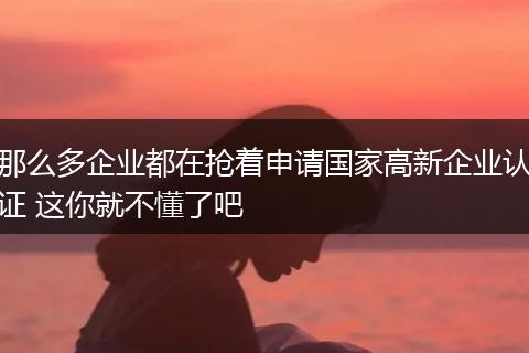 那么多企業(yè)都在搶著申請國家高新企業(yè)認(rèn)證 這你就不懂了吧